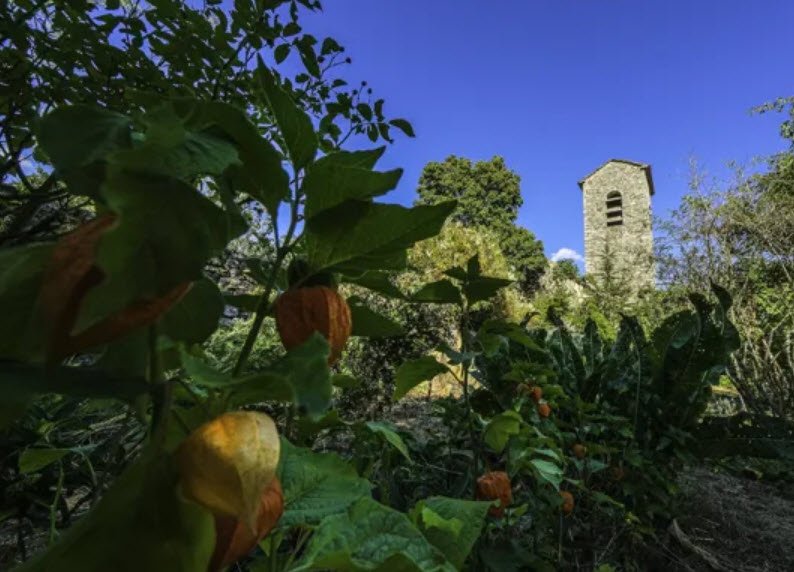 Jardin botanique de Saint Xist, Le Clapier, France, France